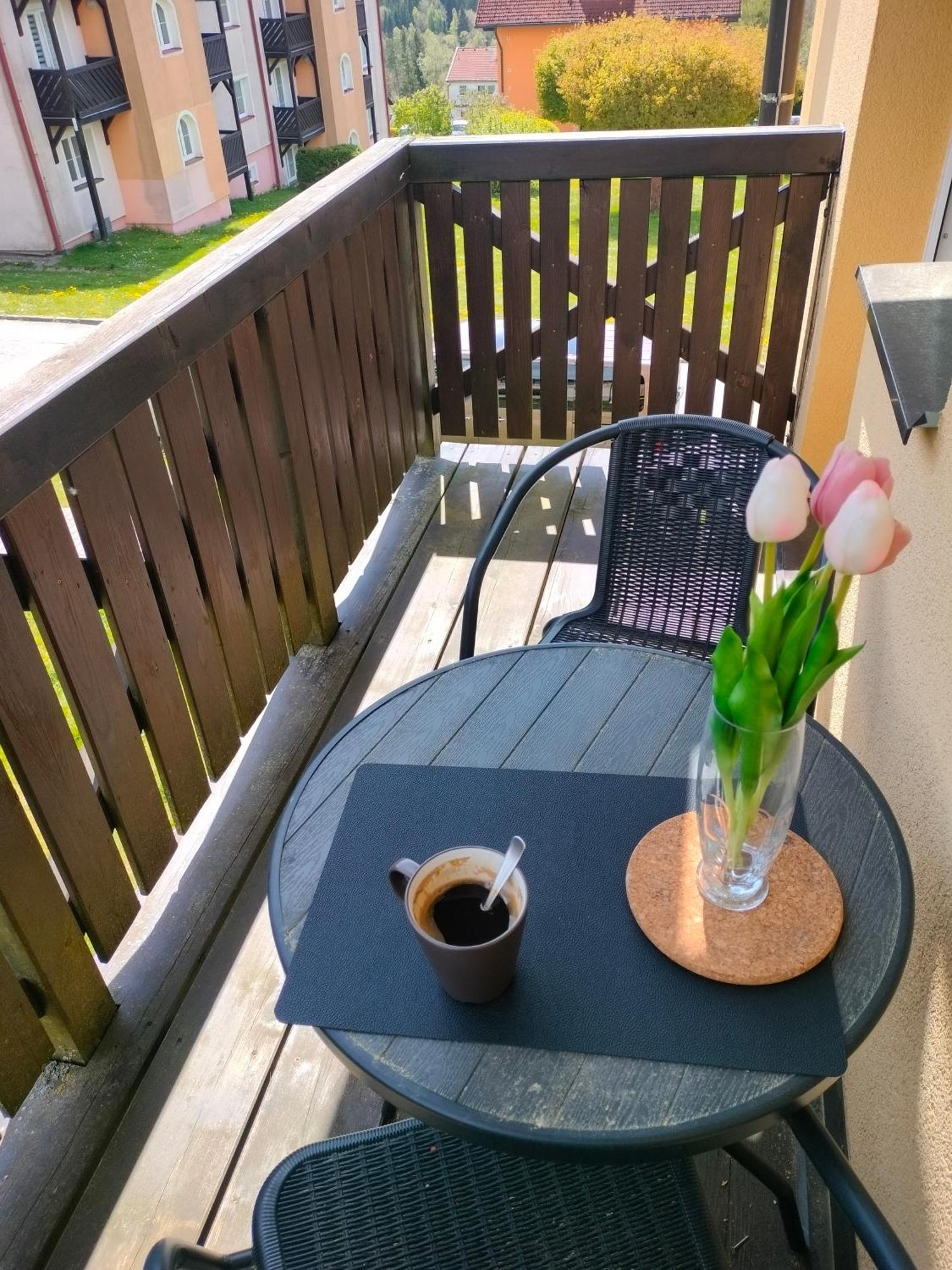 Apartman Aja - Lipno Nad Vltavou Extérieur photo
